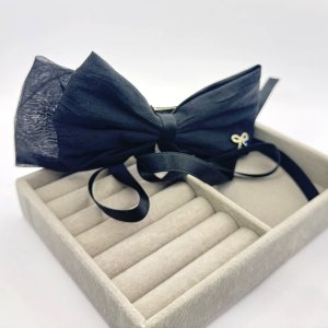 Accesoriu par fundita eleganta Accesoriu par fundita eleganta