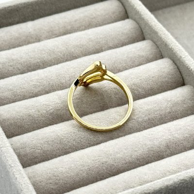 Inel otel inoxidabil modern