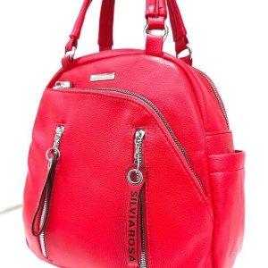Rucsac cu manere 2 in 1 colorat